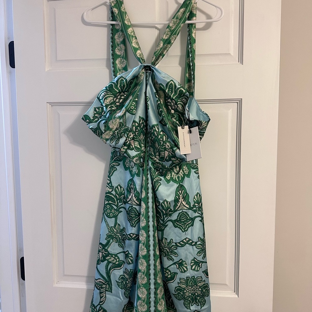 Anthropologie Greylin Miki Halter Mini Dress